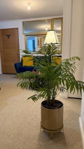 Departamento con estacionamiento en Puerto Montt - Apartment with parking in Puerto Montt