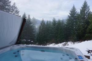 Mountain View Cabin, Hot Tub at White Pass Resort, Mt Rainier