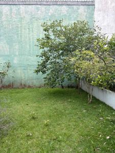 LAR da Alegria na Praia da Cal - Torres