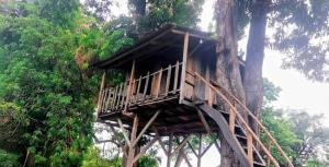 Casa Del Árbol - Ometepe