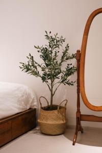 New Open Special Price Hongik University Station Walk 4 minutes 3 rooms only 20 pyeong Hanok Emotional Stay Neat Modern Cozy Full Amenity