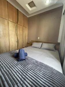 Studio Central Setti