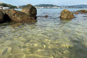 Solar das Bromélias, Apartamento amplo para até 6 pessoas - 50m da praia em Bombinhas!