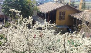 DongVan Panorama Ancient Homestay 1925