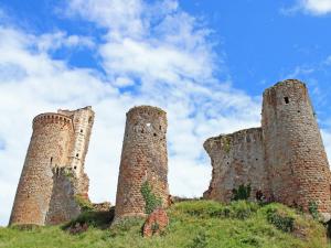 Studio médiéval au cœur du village, proche commerces - FR-1-489-605