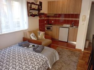 Apartman Lorenzo