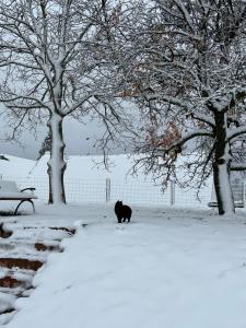 BARIK Chill House Boutique Vendégház