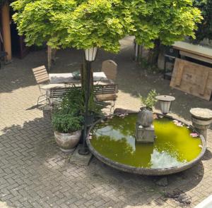 Apartment Villa Kunterbunt 2 EUROPAPARK RULANTICA STRAẞBOURG