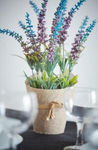 Apartament Pileckiego Nowy Dwór Mazowiecki Airport Modlin 24 H