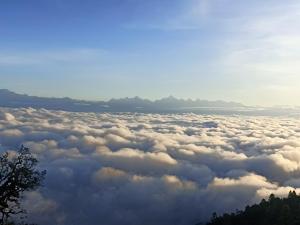 Nature Valley Homestay Shaukiyathal