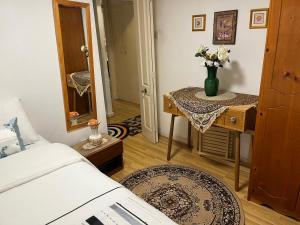 Room with private bathroom in Chelsea