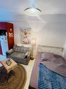 Lovely Apartment Lamia