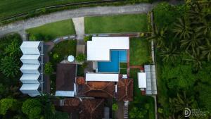 Alenay Resort Kulonprogo