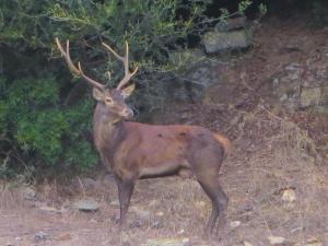 Borgo Ingurtosu img24