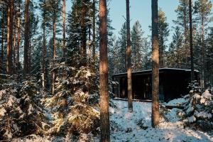 Coastal Forest Cabin in Sweden