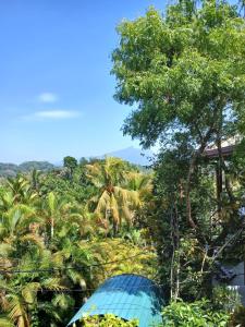 Six Villa