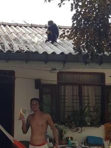 Danushka Family Guesthouse