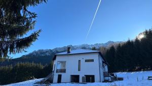 Villa & Spa Plaiul Foii - Sierra Blanca