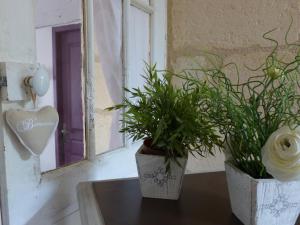 Sejours chez l'habitant Maison du Bonheur : photos des chambres
