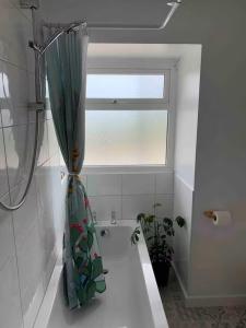 Penhriw 2 Double Bed Apartment Nebo Dogs Welcome