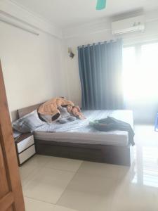 Friendly Hotel & Travel Gia cat Long