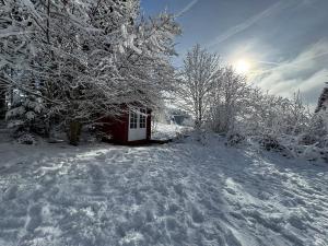 Alpenblick-Hotzenwald