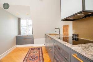 Luxury Apartment by Nyhavn, Rooftop Terrace,AC, Newly Renovated