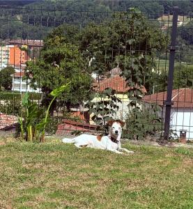 Apartamentos Cangas Relax