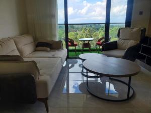 serene stays apartment with fully equipped gym , swimming pool ,private parking space and amazing scenic views