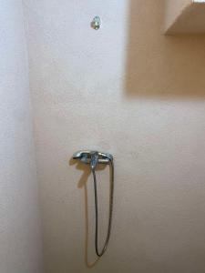 Стая влайков