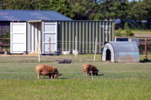 Hidden Acres- Room with Double & Single Bed, Malahide