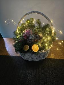 Apartament HARMONIA ALCHEMIKA 2 łazienki SKI BUS