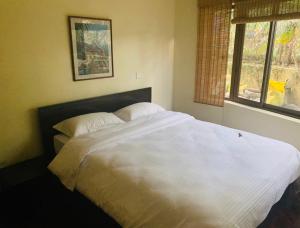 Blissful Boudha Apartment