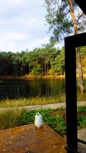 KampinaStaete, hippe cottages midden in natuurgebied de Kampina Oisterwijk