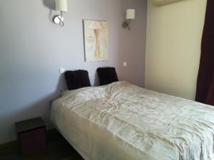 Villa 300m2 piscine chauffée et jacuzzi-spa de nage