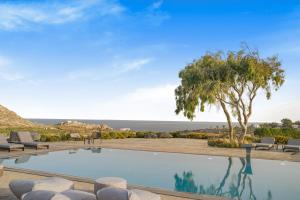 Phaos at Cellaria Estate