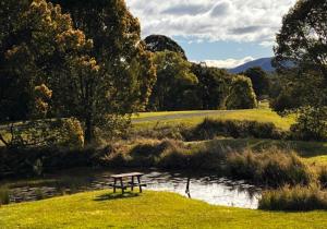 Sunshine Coast Kanimbia Luxury Glamping Guesthouse room