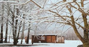 Cozy cabin with hot tub or sauna