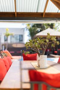 Twin Palms 4BRM Coastal Retreat with Pool & BBQ