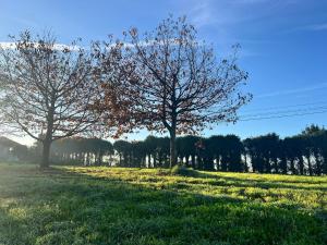 Quinta da Runa by Tiny Away