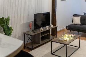 Charmant T3 en bord de marne, centre ville proche Disneyland & Paris