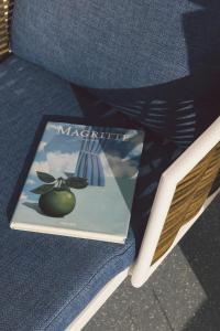 The Salmar - New Opening