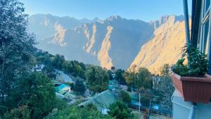 Badri Kedar Homestay & Restaurant