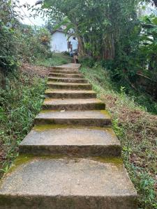Casa da ilha