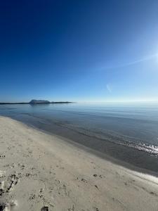 Teodora e Teodorina bohemien house img43