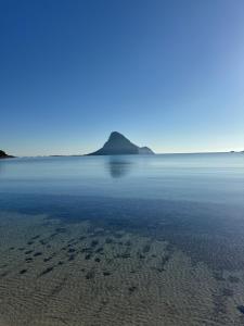 Teodora e Teodorina bohemien house img44