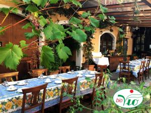 Agriturismo del Pigato - Bio Vio