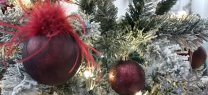 Victoria Family Hotel