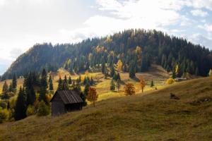 Apartament Plaza - Self Check-in