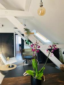 Appartement atypique lumineux